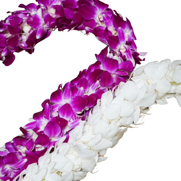 Graduation Leis Glorious Flowers YL